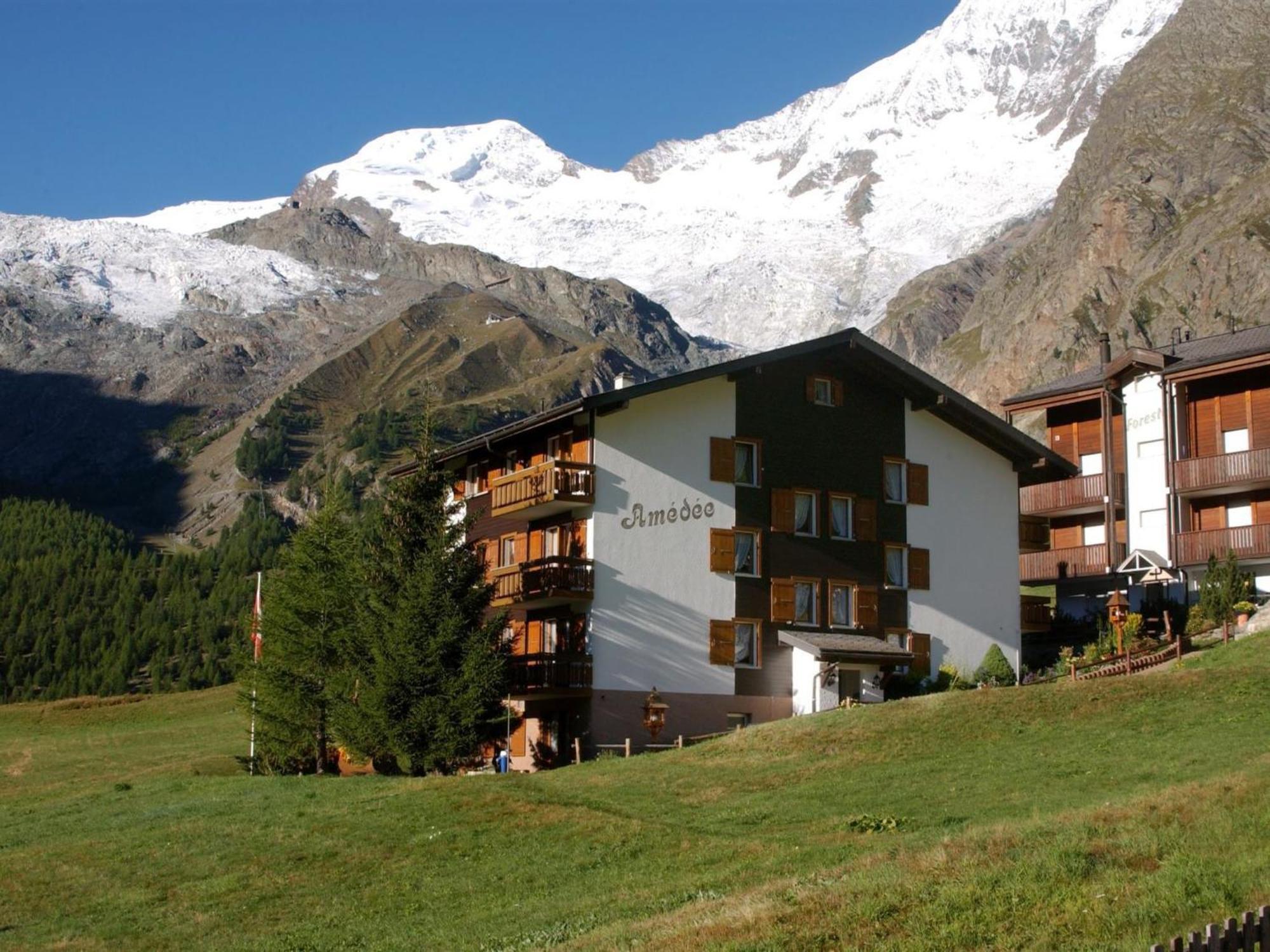 Apartment Haus Amedee By Interhome Saas-Fee Exterior photo